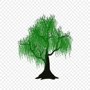 иллюстрация дерево ивы весной PNG , дерево клипарт, ива, весна PNG картинки и пнг PSD рисунок для й загрузки