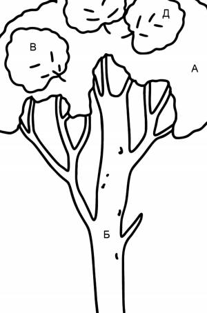 Раскраска осина ♥ Скачать, Онлайн и !