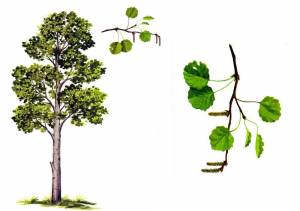 Пин от пользователя Monika Pigan на доске Zapisane przeze mnie