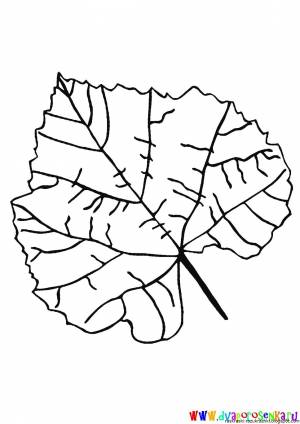 Лист осины раскраска для детей