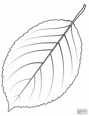 Осенние листья осины