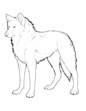 Раскраски крыльями, Раскраска Волк с крыльями ангела волк