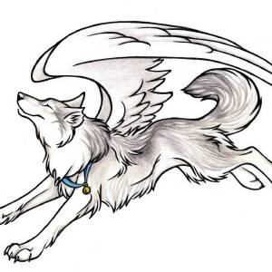 Раскраски аниме собаки с крыльями