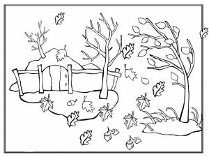 Раскраски природа Осенний листопад