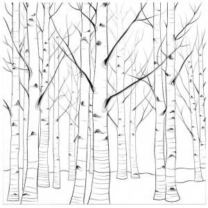 Черно-белая раскраска осины
