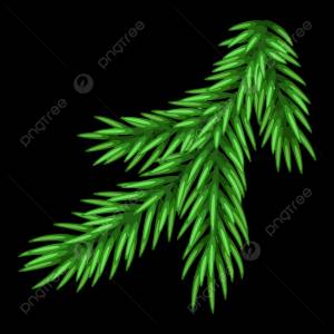 иллюстрация еловой ветки PNG , в район, зима, прут PNG картинки и пнг рисунок для й загрузки