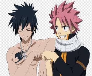 Нацу Драгнил Грей Фуллбастер Аниме Манга Хвост Феи, Серый Фуллбастер, млекопитающее, чёрные волосы, манга png