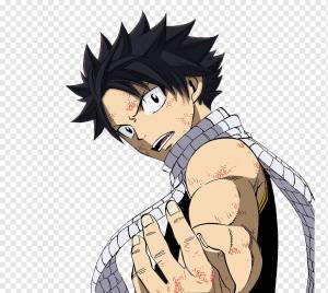 Нацу Драгнил Грей Фуллбастер Эрза Скарлет Хвост Феи, сказочный хвост, черные волосы, рука, человек png