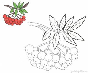 Раскраска для детей