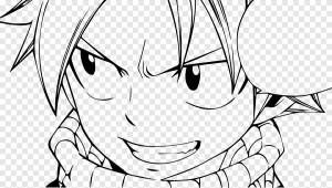 Нацу Драгнил Эрза Скарлет Ювия Локсер Fairy Tail Gajeel Redfox, сказочный хвост, белый, лицо png