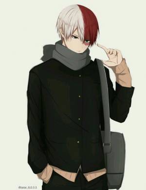 Shouto Todoroki