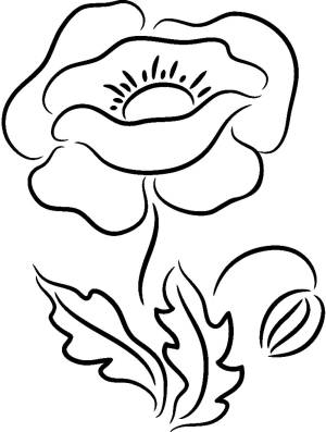 Раскраски мак, Раскраска Цветочек мак