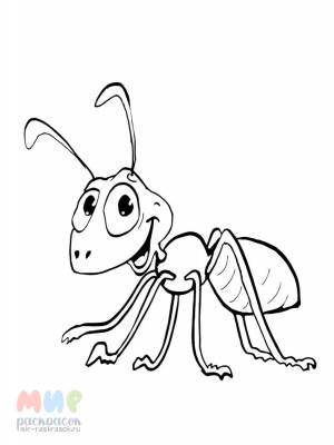 Раскраска Муравей не робей