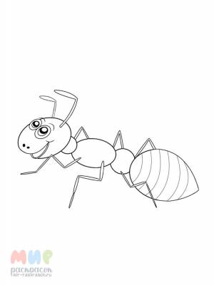 Раскраска Муравей сто друзей