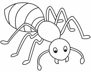 Раскраска Муравей 5