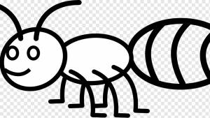 Муравьи и Кузнечики Насекомое Книжка-раскраска Жизненный цикл Муравья, насекомого, белый, ребенок, животные png