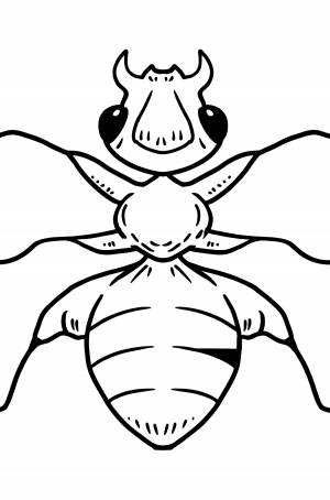 Раскраска Муравей для малышей