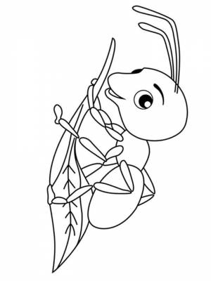 Раскраска Муравей  для мальчиков
