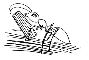 Раскраска Муравей