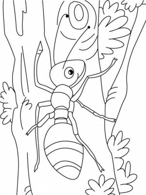 Картинка Муравей раскраска на листе  для мальчиков