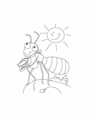 Раскраски Раскраска Муравей муравей