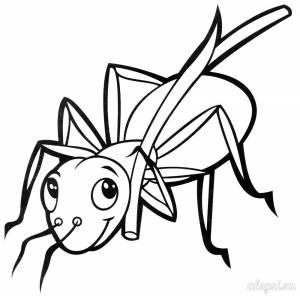 Раскраска для детей