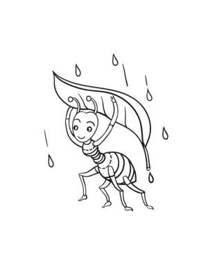 Раскраска Муравей