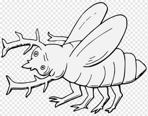 Beetle Line Art, жук-олень, рисунок, японский жук-носорог, насекомое, черно-белый, Дикая природа, Обувь для ходьбы, клюв, жук, Черное и белое png
