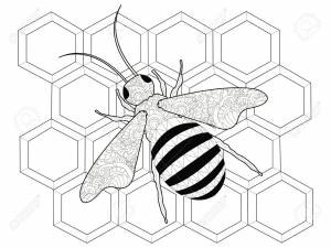 Insects, A Bee On Honeycombs