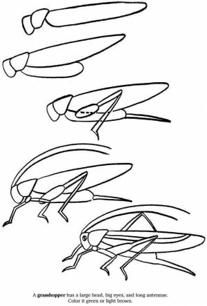 Saltamontes
