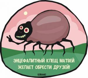 Клещ рисунок