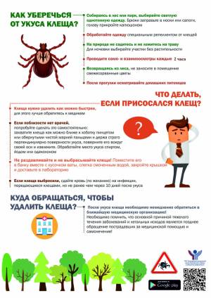 Готовимся к приходу клещей