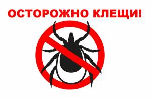 Как обезопасить себя от укуса клеща? » МБУ Защита населения и территории г
