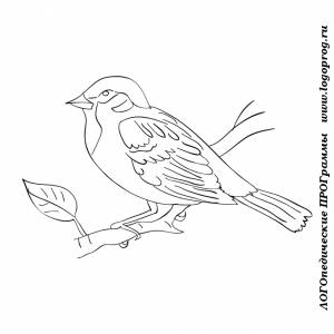 Картинки-раскраски на тему птицы