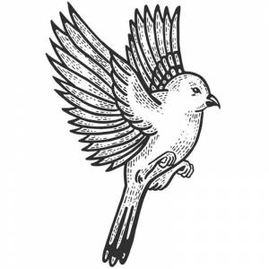 Раскраска Воробей в полете