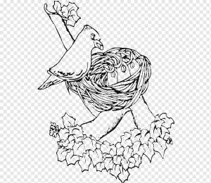 Птичье гнездо Воробейная сова Книжка-раскраска, гнездо, белый, животные, рука png