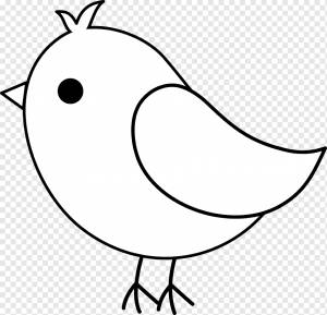 Птичка Сова европейский малиновка Cockatiel, Bird Art, белый, лицо, лист png