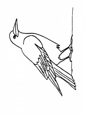 Картинка Перелетные птицы для детей