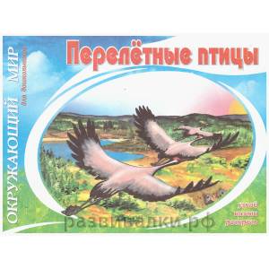 Книга-раскраска Перелётные птицы