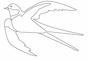 Раскраска перелетные птицы