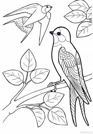 Перелетные птицы