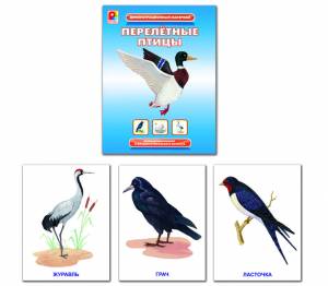 Демонстрационный материал Перелетные птицы