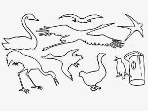 Раскраски стая перелетных птиц