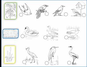 Перелетные птицы