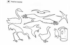 Перелетные птицы рисунки для детей