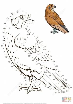 Раскраски по точкам птица