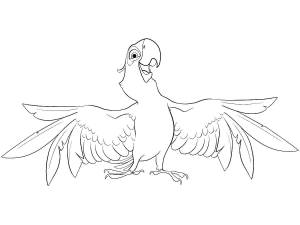 Раскраски попугай, Раскраска Голубчик попугай голубой ара рио