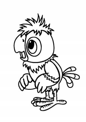 Раскраска попугай кеша