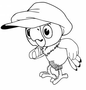 Попугай Кеша в кепке