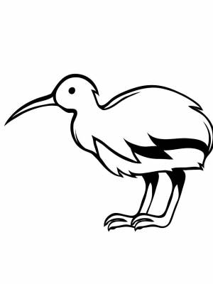 Раскраска птица Киви   в формате